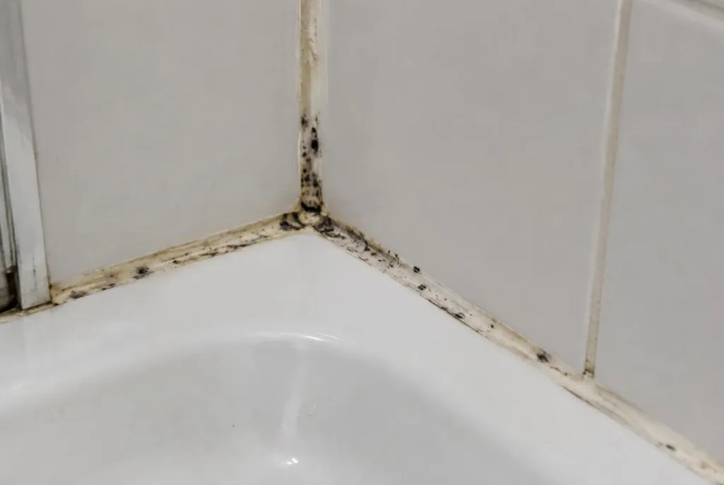 Kitbedrijf Vianen – beschimmelde kitranden